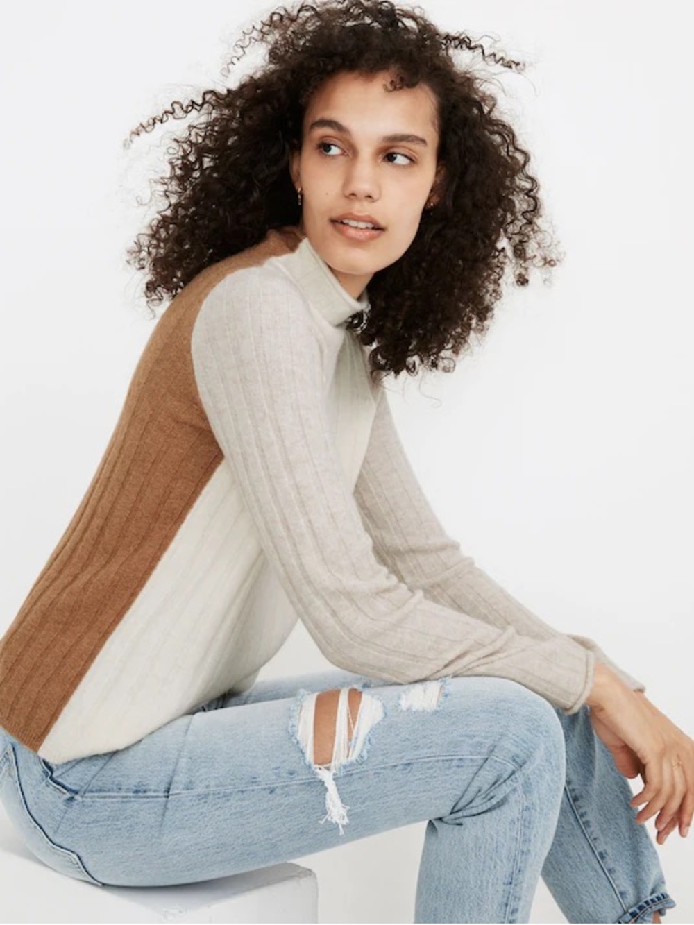 Madewell | Colorblock Evercrest Turtleneck Sweater Coziest Yarn Ribbed Neutral